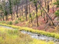 Camas Creek, eastern Oregon Royalty Free Stock Photo