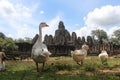 Cambodia. Angkor Thom City. Bayon temple. Siem Reap Province. Siem Reap City. Royalty Free Stock Photo