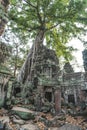 Cambodia Angkor Wat Ta Prohm Temple Tomb Raider Tree Roots Ruins Royalty Free Stock Photo