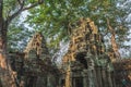 Cambodia Angkor Wat Ta Prohm Temple Tomb Raider Tree Roots Ruins Royalty Free Stock Photo