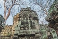 Cambodia Angkor Wat Ta Prohm Temple Tomb Raider Tree Roots Ruins Royalty Free Stock Photo