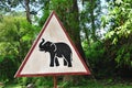 Cambodia; Be careful with animals