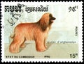 CAMBODIA - CIRCA 1990: postage stamp, printed in Cambodia, shows a Afghan Hound