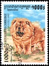 CAMBODIA - CIRCA 1997: postage stamp, printed in Cambodia, shows a Chow Chow dog