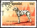 CAMBODIA - CIRCA 1990: postage stamp, printed in Cambodia, shows a Dalmatian dog