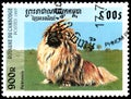 CAMBODIA - CIRCA 1997: postage stamp, printed in Cambodia, shows a Pekingese dog