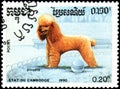 CAMBODIA - CIRCA 1990: postage stamp, printed in Cambodia, shows a Poodle dog