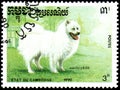 CAMBODIA - CIRCA 1990: postage stamp, printed in Cambodia, shows a Samoyed Dog