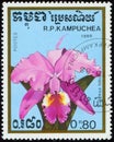 CAMBODIA - CIRCA 1988: flowering plant Cattleya labiata, also known as the crimson cattleya or ruby-lipped cattleya Royalty Free Stock Photo