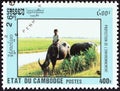 CAMBODIA - CIRCA 1992: A stamp printed in Cambodia shows boy riding water buffalo, circa 1992.