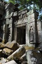 Cambodia - Detail of Ta Prohm temple