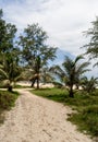 Cambodia island. road jungle