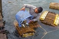 Cambodia. Kep. Crab market. A Fisherman kept crabs in submerged baskets