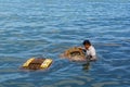 Cambodia. Kep. Crab market. A Fisherman kept crabs in submerged baskets
