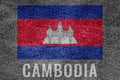 CAMBODIA nation flag on jean texture design