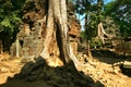 Cambodia's temple of Ta Prohm in Angkor Wat Royalty Free Stock Photo