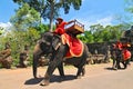 Cambodia, Siem Reap, Angkor, The Elephants of Bayon Temple