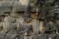 CAMBODIA SIEM REAP ANGKOR TERRACE OF ELEPHANTS