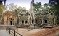 Famous spung tree growing in Ta Prohm temple. Angkor, Cambodia