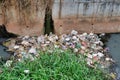 Cambodia, Siem Reap 12/08/2018 a garbage dump in a city water canal, a lot of garbage