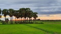 Cambodia. Sunset. Siem Reap province. Royalty Free Stock Photo