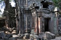 Cambodia - Ta Prohm temple