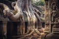 Cambodia travel icon banyan roots ruine Angkor wat temple Ta Prohm from Lara Croft