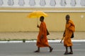 Cambodian buddhist monks