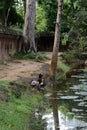 Cambodian children at a pond near Banteay Srey temple