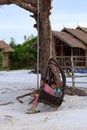 Cambodian girls siting on the swing