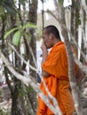 Cambodian monk thinking