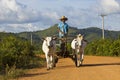 Cambodian oxcart