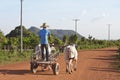 Cambodian oxcart Royalty Free Stock Photo