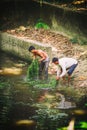 Cambodian people man and boy collect seaweed wrack of the lake in Kep National Park, Cambodia