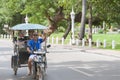 Cambodian tuktuk driver