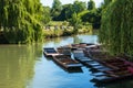 Punts on river Cam in Cambridge, UK