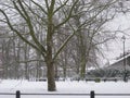 Cambridge Under Snow