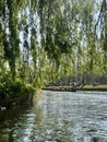 Cambridge, United Kingdom - April 20, 2019: People punting and chilling along the Cam river on a sunny day