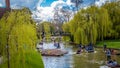 People punting on river Cam Royalty Free Stock Photo