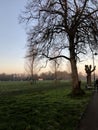 Cambridge, United Kingdom - February 15, 2019: Midsummer common park