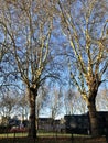 Cambridge, United Kingdom - February 14, 2019: St Matthew's Piece park on a sunny day
