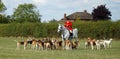 Cambridgeshire Hunt and Enfield Chase Rider in tradition Jacket Horse and Hounds.