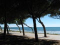 Cambrils Promenade