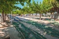 Cambrils Spain-August 8 2013. Boats and fishing nets and tackle lie in wait for fishing. Small business Europe. Tourist places of Royalty Free Stock Photo