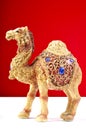 Camel Royalty Free Stock Photo