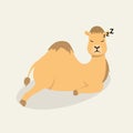 Angry looking camel mascot design