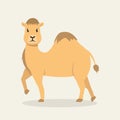 Angry looking camel mascot design