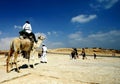Camel Royalty Free Stock Photo