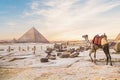 Camel against the background of the pyramids of the pharaohs Cheops, Khafren and Mikerin in Giza Royalty Free Stock Photo