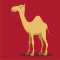 Camel. Arabian Camel in cartoon style .Vector Illustration.